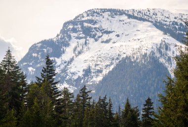 Kuzey Şelaleleri Ulusal Parkı