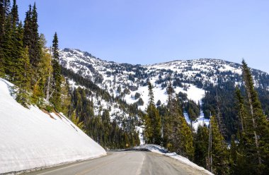 Kasırga ridge olimpik Milli Parkı