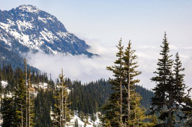 Kasırga ridge olimpik Milli Parkı