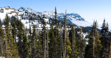 Kasırga ridge olimpik Milli Parkı