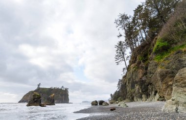 Ruby Beach olimpik Milli Parkı içinde