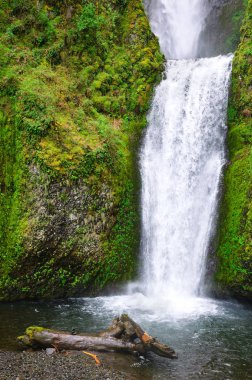Columbia Gorge Ulusal Manzara alanı