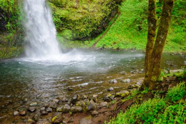 Columbia Gorge Ulusal Manzara alanı