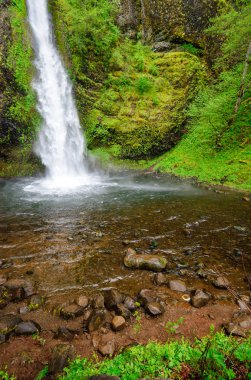 Columbia Gorge Ulusal Manzara alanı