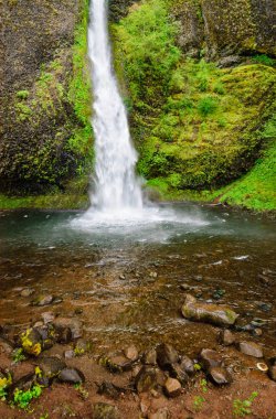 Columbia Gorge Ulusal Manzara alanı
