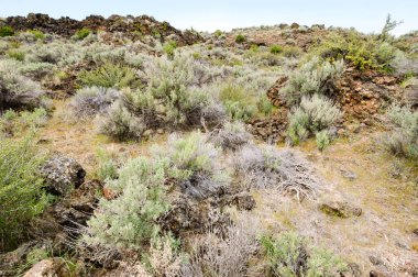 Lav yataklar Ulusal Anıtı
