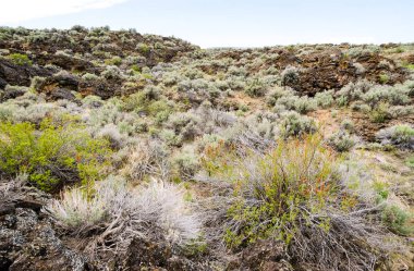 Lav yataklar Ulusal Anıtı