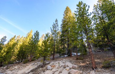 Lassen Volkanik Ulusal Parkı