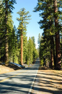 Lassen Volkanik Ulusal Parkı