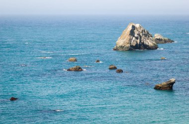 Sonoma Coast devlet Beach