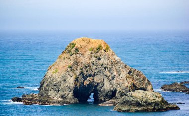 Sonoma Coast devlet Beach