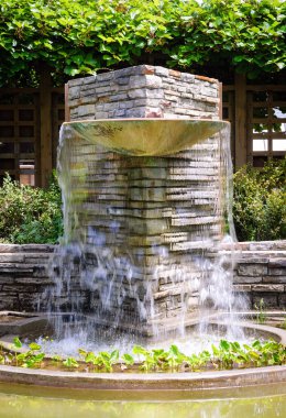 Luther Burbank ev ve bahçeler