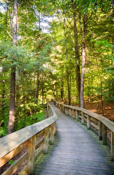 Parc National Cuyahoga Valley — Photo