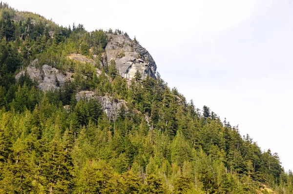 Nordkaskaden Nationalpark — Stockfoto