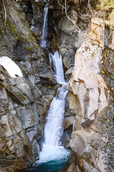 Parku Narodowego Mount Rainier — Zdjęcie stockowe