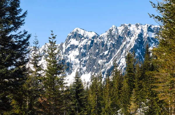 Mount Rainier Nationalpark — Stockfoto