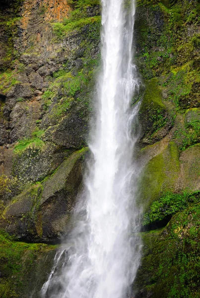 Columbia Gorge National Scenic Area — Zdjęcie stockowe