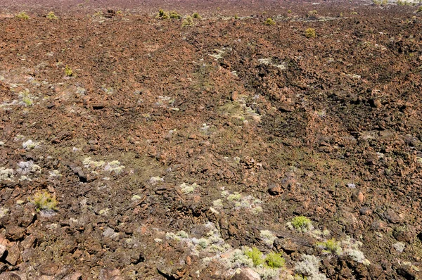 Lava Camas Monumento Nacional — Fotografia de Stock