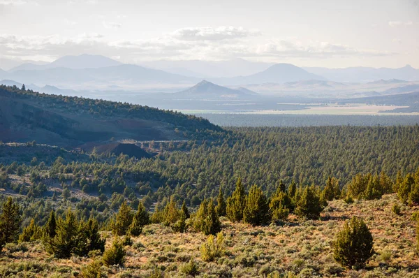 Shasta Trinity National Forest — Stock Photo, Image