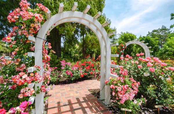 Luther Burbank Hogar Jardines — Foto de Stock