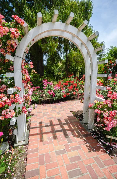 Luther Burbank Home Gardens — Stock Photo, Image