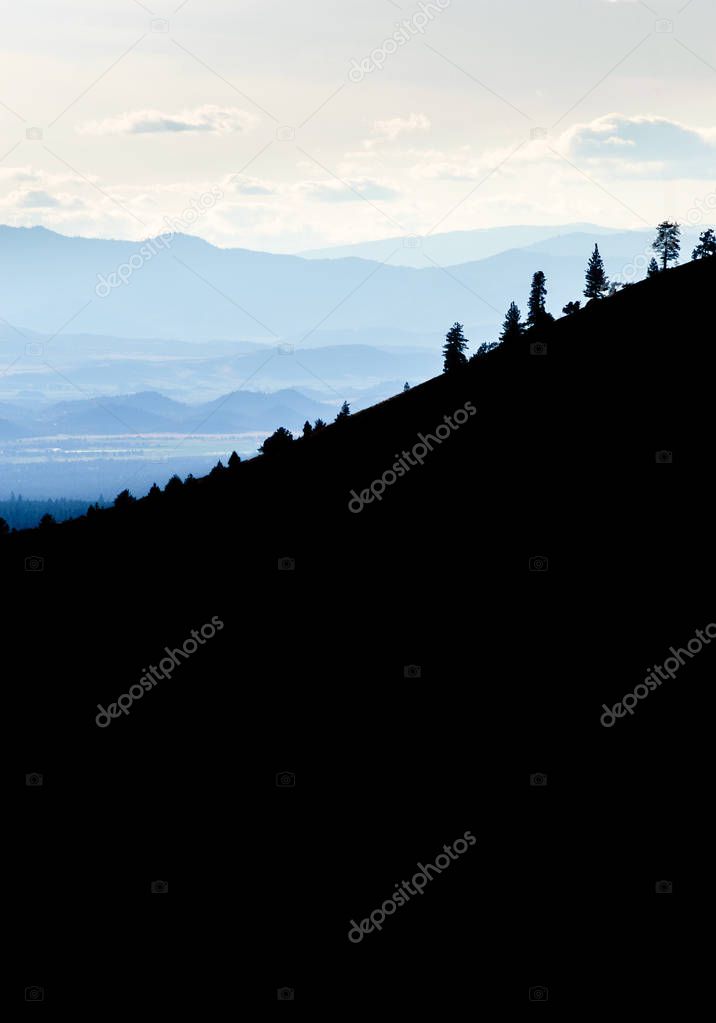 Shasta-Trinity National Forest