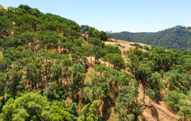 Şeker hastalığı State Park montaj