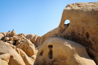 Joshua Tree Ulusal Parkı