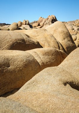 Joshua Tree Ulusal Parkı