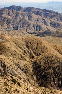 Joshua Tree Ulusal Parkı
