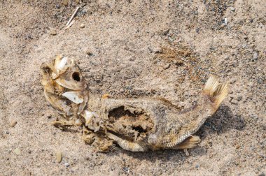 Presque Isle State Park