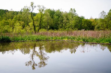 Cuyahoga Vadisi Milli Parkı