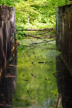 Cuyahoga Vadisi Milli Parkı