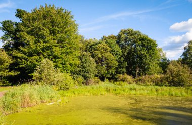 Jamestown Audubon merkezi ve kutsal