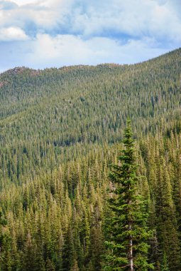 Rocky Dağı Milli Parkı