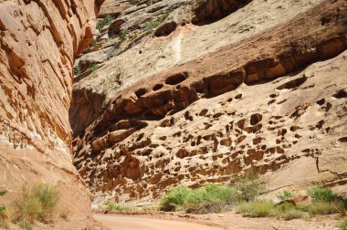Capitol Resifi Ulusal Parkı