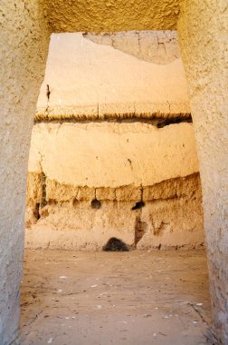 Casa grande Ulusal Anıt kalıntıları