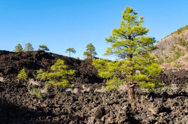 gün batımı krater Ulusal Anıtı