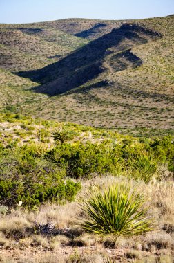 Carlsbad Mağaraları Ulusal Parkı