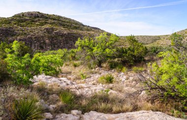 Carlsbad Mağaraları Ulusal Parkı