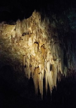 Carlsbad Mağaraları Ulusal Parkı