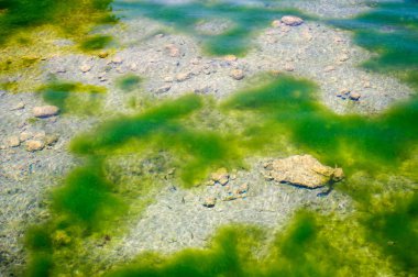 Carlsbad Mağaraları Ulusal Parkı