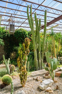 Yaşayan çöl Hayvanat Bahçeleri State Park