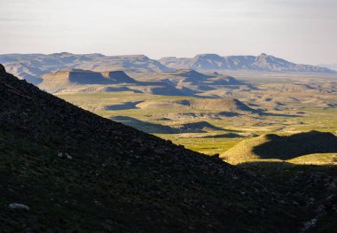 Guadalupe Dağları Ulusal Parkı