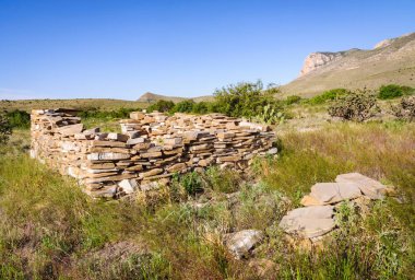 Guadalupe Dağları Ulusal Parkı