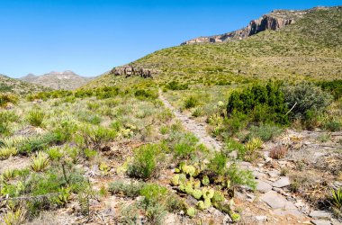 Guadalupe Dağları Ulusal Parkı