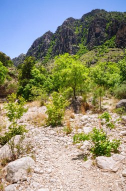 Guadalupe Dağları Ulusal Parkı