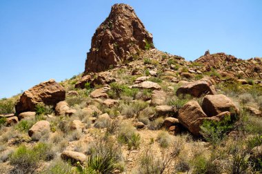 Big bend Milli Parkı