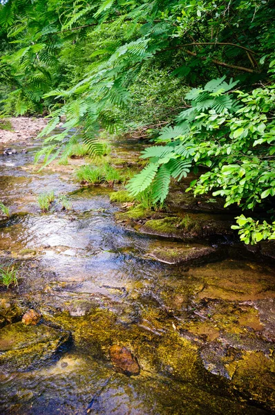 Nationaal Park Warmwaterbronnen — Stockfoto