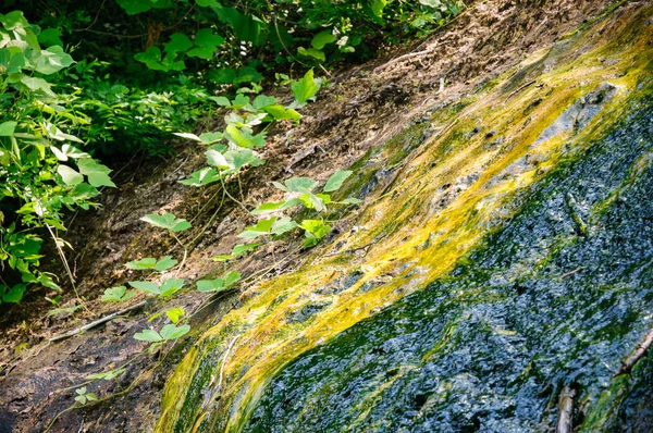 Hőforrások Nemzeti Park — Stock Fotó